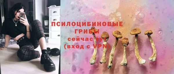 дживик Алзамай